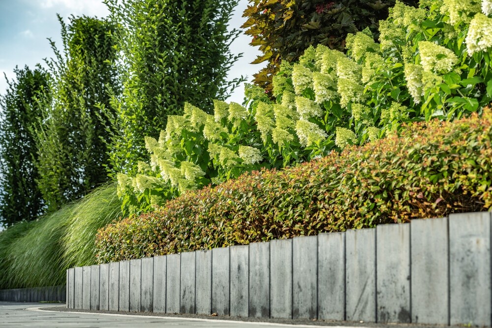 The Ultimate Guide to Planting Your New Hedge  